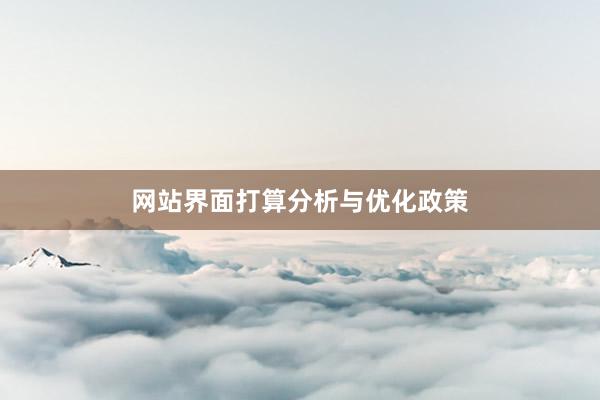 网站界面打算分析与优化政策