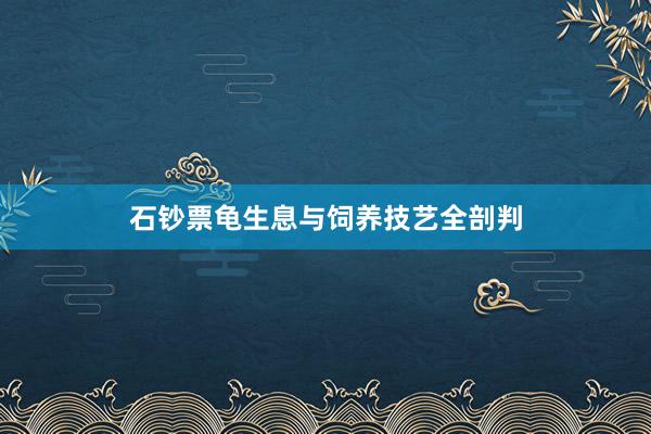 石钞票龟生息与饲养技艺全剖判