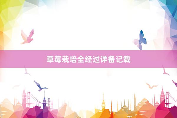 草莓栽培全经过详备记载